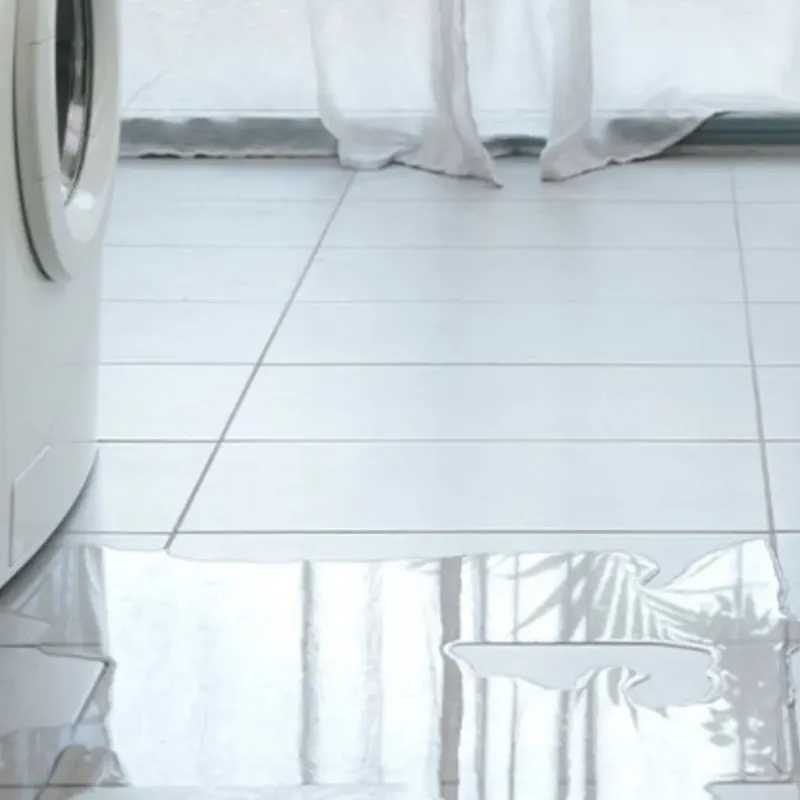 Appliance Leak Cleanup in Lexington, NC