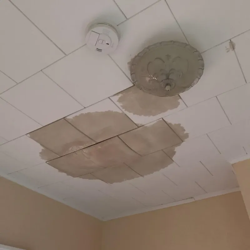Ceiling Water Damage Repair in Lexington, NC