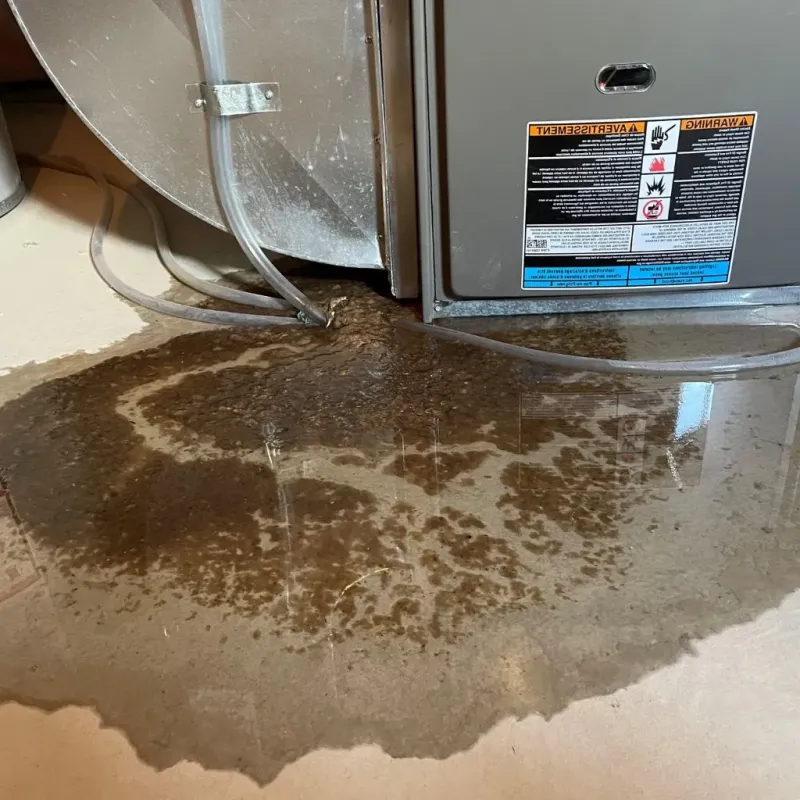 Pipe Burst and Leak Restoration in Lexington, NC