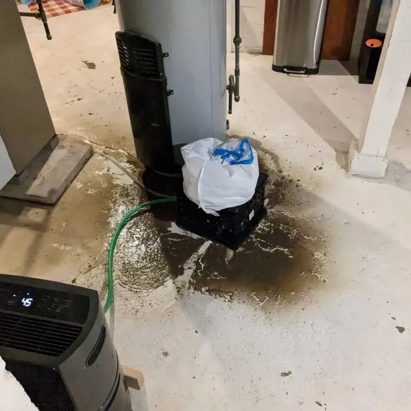 Sewage Backup Cleanup Service in Lexington, NC
